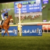 Dubai Horse Racing